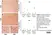 Anti Rat CD8 Alpha Antibody, clone OX-8 thumbnail image 4