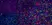 Anti Rat CD8 Alpha Antibody, clone OX-8 thumbnail image 6