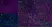 Anti Rat CD8 Alpha Antibody, clone OX-8 thumbnail image 7