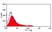 Anti Rat CD8 Beta Antibody, clone 341 thumbnail image 1