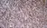 Anti Rat CD8 Beta Antibody, clone 341 thumbnail image 3