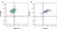 Anti Rat CD86 Antibody, clone 24F thumbnail image 1