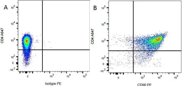 Anti Rat CD90 Antibody, clone OX-7 gallery image 2
