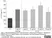Anti Rat IgE Antibody, clone MARE-1 thumbnail image 1