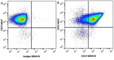Anti Rat IgG1 Antibody, clone AbD41031 gallery image 2