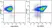 Anti Rat IgG1 Antibody, clone AbD41031 thumbnail image 2