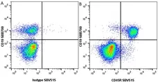 Anti Rat IgG2a Antibody, clone AbD41049 gallery image 1