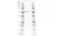Anti Rat IgG2a Antibody, clone AbD41049 thumbnail image 2