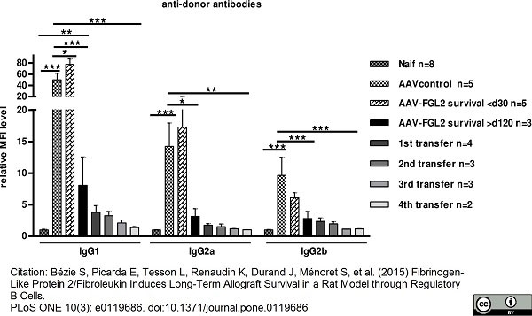 Anti Rat IgG2b Heavy Chain Antibody, clone MARG2b-8 gallery image 1