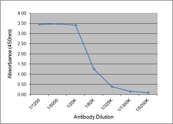 Anti Rat Luteinizing Hormone Antibody, clone 176.9B7 gallery image 1