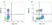 Anti Rat MHC Class I RT1A Antibody, clone OX-18 thumbnail image 1