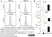 Anti Rat MHC Class I RT1A Antibody, clone OX-18 thumbnail image 4