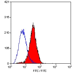 Anti Rat MHC Class I RT1Ac Antibody, clone OX-27 gallery image 3