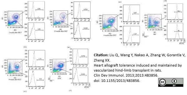 Anti Rat MHC Class I RT1Ac Antibody, clone OX-27 gallery image 4