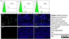 Anti Rat MHC Class I RT1Ac Antibody, clone OX-27 gallery image 5