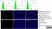 Anti Rat MHC Class I RT1Ac Antibody, clone OX-27 thumbnail image 5