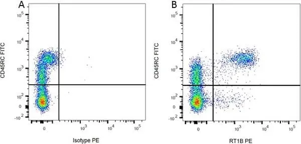 Anti Rat MHC Class II RT1B Antibody, clone OX-6 gallery image 2