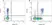 Anti Rat MHC Class II RT1B Antibody, clone OX-6 thumbnail image 3