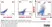 Anti Rat MHC Class II RT1B Antibody, clone OX-6 thumbnail image 6