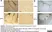 Anti Rat RECA-1 Antibody, clone HIS52 thumbnail image 20