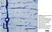 Anti Rat RECA-1 Antibody, clone HIS52 thumbnail image 26