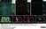 Anti Rat RECA-1 Antibody, clone HIS52 thumbnail image 34