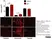 Anti Rat RECA-1 Antibody, clone HIS52 thumbnail image 4