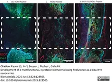 Anti Rat RECA-1 Antibody, clone HIS52 gallery image 40