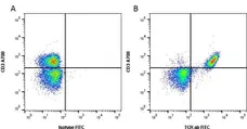 Anti Rat TCR Alpha/Beta Antibody, clone R73 gallery image 1