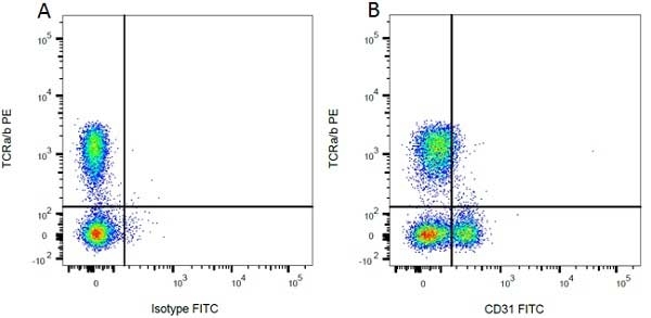 Anti Rat TCR Alpha/Beta Antibody, clone R73 gallery image 2