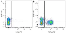 Anti Rat TCR Alpha/Beta Antibody, clone R73 gallery image 3