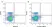 Anti Rat TCR Gamma/Delta Antibody, clone V65 thumbnail image 1