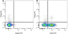 Anti Rat TCR Gamma/Delta Antibody, clone V65 gallery image 3