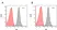 Anti Rituximab Antibody, clone AbD02842 thumbnail image 1