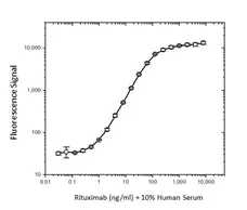 Anti Rituximab Antibody, clone AbD18423 gallery image 3