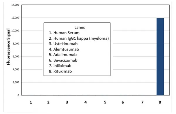 Anti Rituximab Antibody, clone AbD18423_hIgG1 gallery image 2