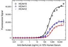 Anti Sarilumab Antibody, clone AbD49520ia gallery image 3