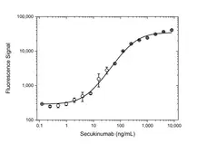 Anti Secukinumab Antibody, clone AbD37054ia gallery image 3