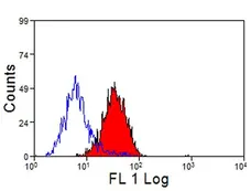 Anti Sheep CD14 Antibody, clone VPM66 gallery image 1