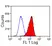 Anti Sheep CD16-Like Antibody, clone VPM64 thumbnail image 1