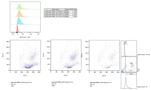 Anti Sheep CD230 (aa144-154) Antibody, clone ROS-BC6 gallery image 3