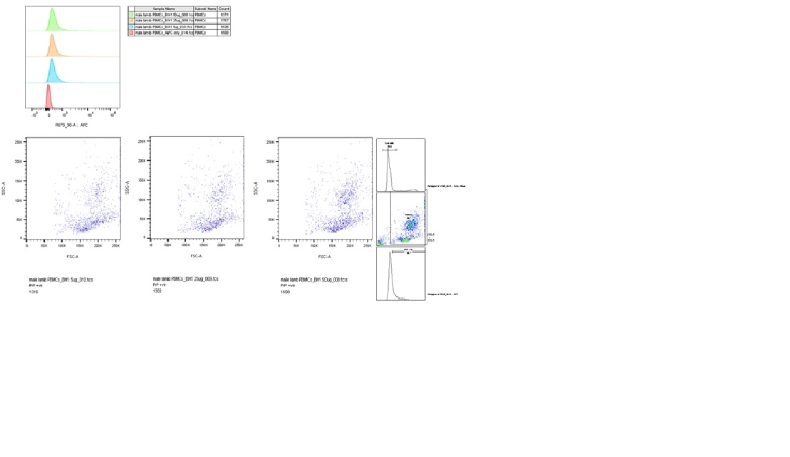 Anti Sheep CD230 (aa143-154) Antibody, clone ROS-BH1 gallery image 1