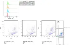 Anti Sheep CD230 (aa143-154) Antibody, clone ROS-BH1 gallery image 1