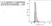 Anti Sheep CD230 (aa143-154) Antibody, clone ROS-BH1 thumbnail image 3