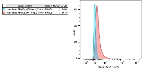 Anti Sheep CD230 (aa143-154) Antibody, clone ROS-BH1 gallery image 3