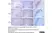 Anti Sheep CD230 (aa143-154) Antibody, clone ROS-BH1 thumbnail image 4