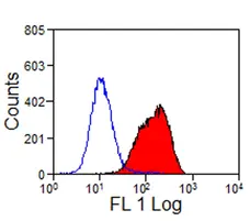 Anti Sheep CD32-Like Antibody, clone VPM63 gallery image 1