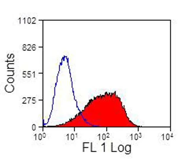 Anti Sheep CD335 Antibody, clone EC1.1 gallery image 3