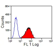 Anti Sheep CD335 Antibody, clone EC1.1 gallery image 4