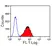 Anti Sheep CD335 Antibody, clone EC1.1 thumbnail image 4